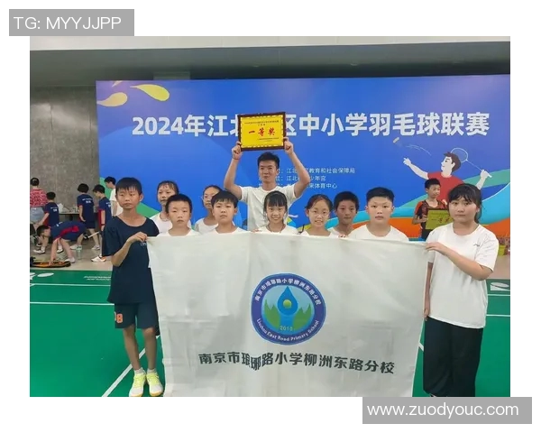 南京羽毛球队的崛起与发展探讨聚焦羽毛球运动的力量与未来