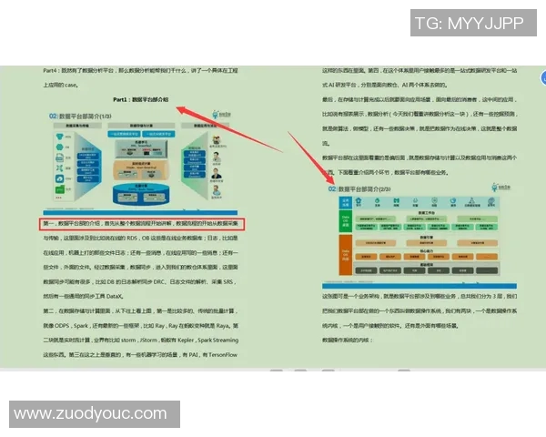 南京飞盘队快攻战术解析与实战应用全方位解读