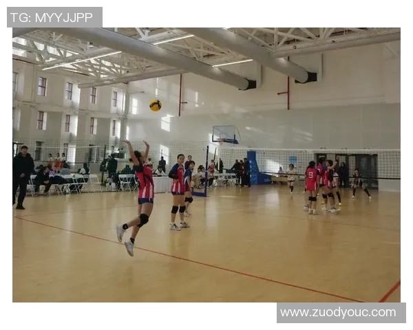 排球状态排行榜揭晓北京排球队荣获第六名佳绩