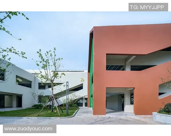 杭州乒乓球队战术变革引发热议探索新局面与未来发展潜力