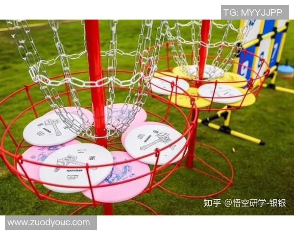 武汉飞盘队荣登全国团队协作排行榜第六名展现出色团队精神与竞技实力