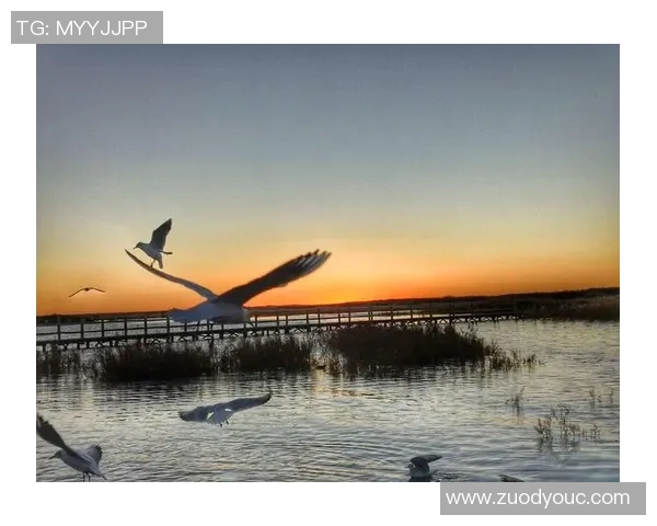 滑板人生的深度对话：杨磊与梦想的追逐与坚持