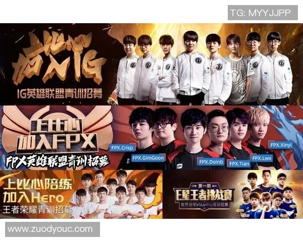 王者荣耀热议IG战队个人能力的变革与团队协作的新篇章