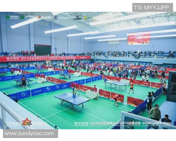 西安乒乓球队在精英赛中的技术表现分析与点评