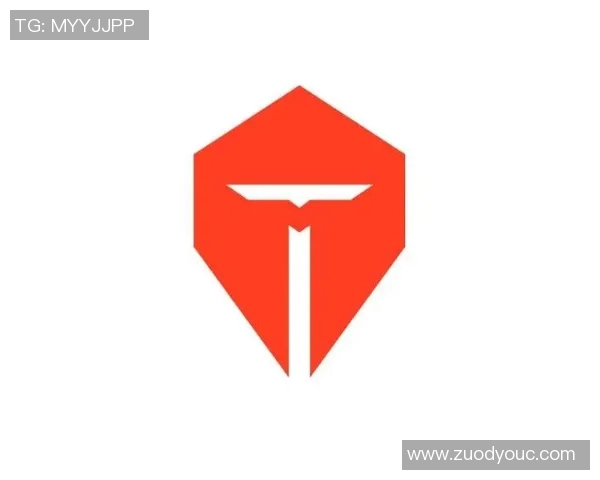 英雄联盟深度分析：探究LNG战队的成功运营策略与管理模式