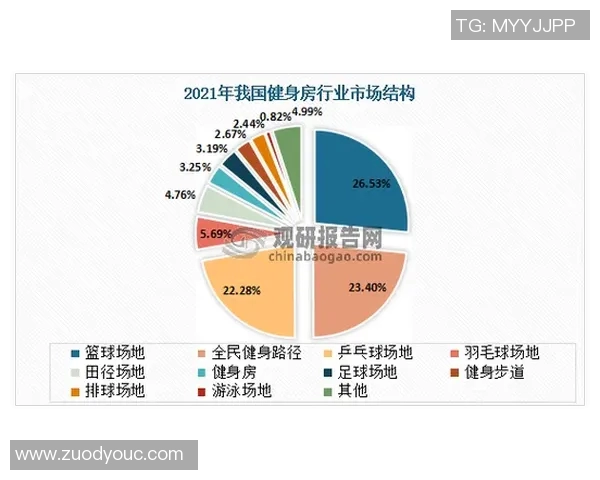 西安篮球队意识提升与团队协作的深度探讨与分析