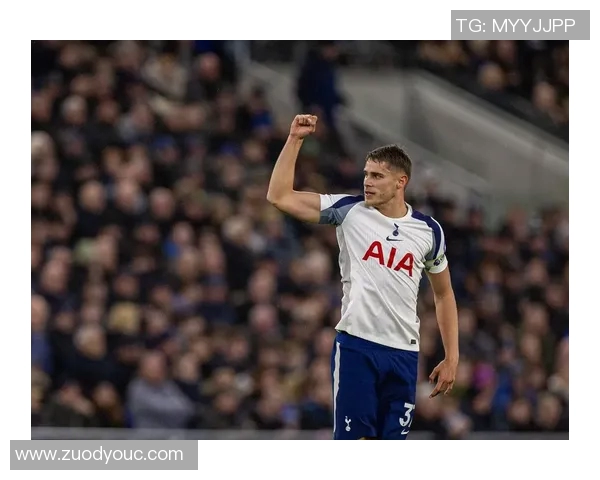 埃弗顿与热刺精彩对决全场录像回放及精彩瞬间分析