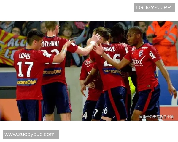 尼姆与里尔2018年对决回顾：精彩瞬间与赛季影响分析