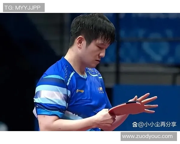 樊振东与波尔精彩对决视频回顾乒乓球巅峰对决不容错过