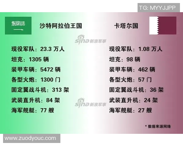 沙特阿拉伯与卡塔尔足球赛前分析与战术解读全方位解析 沙特阿拉伯与卡塔尔足球赛前分析与战术解读全方位解析