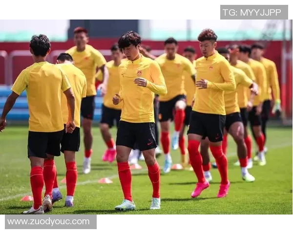 精彩对决视频直播国足迎战缅甸足队全程回顾与分析