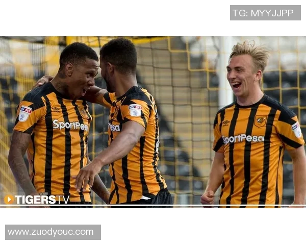 赫尔城与狼队激战正酣赛况分析与精彩瞬间回顾 赫尔城与狼队激战正酣赛况分析与精彩瞬间回顾