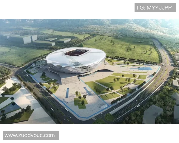 重庆飞盘队的蜕变之路探索极限运动联赛的新篇章