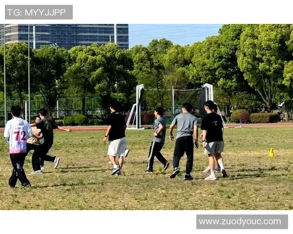 飞盘运动新风潮：深入解析重庆飞盘队员的独特技能与团队协作