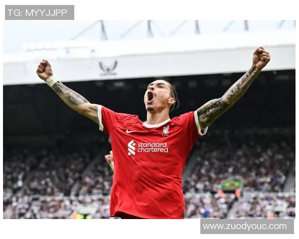 努涅斯在赛场上的崛起与挑战：从新星到球队核心的成长之路